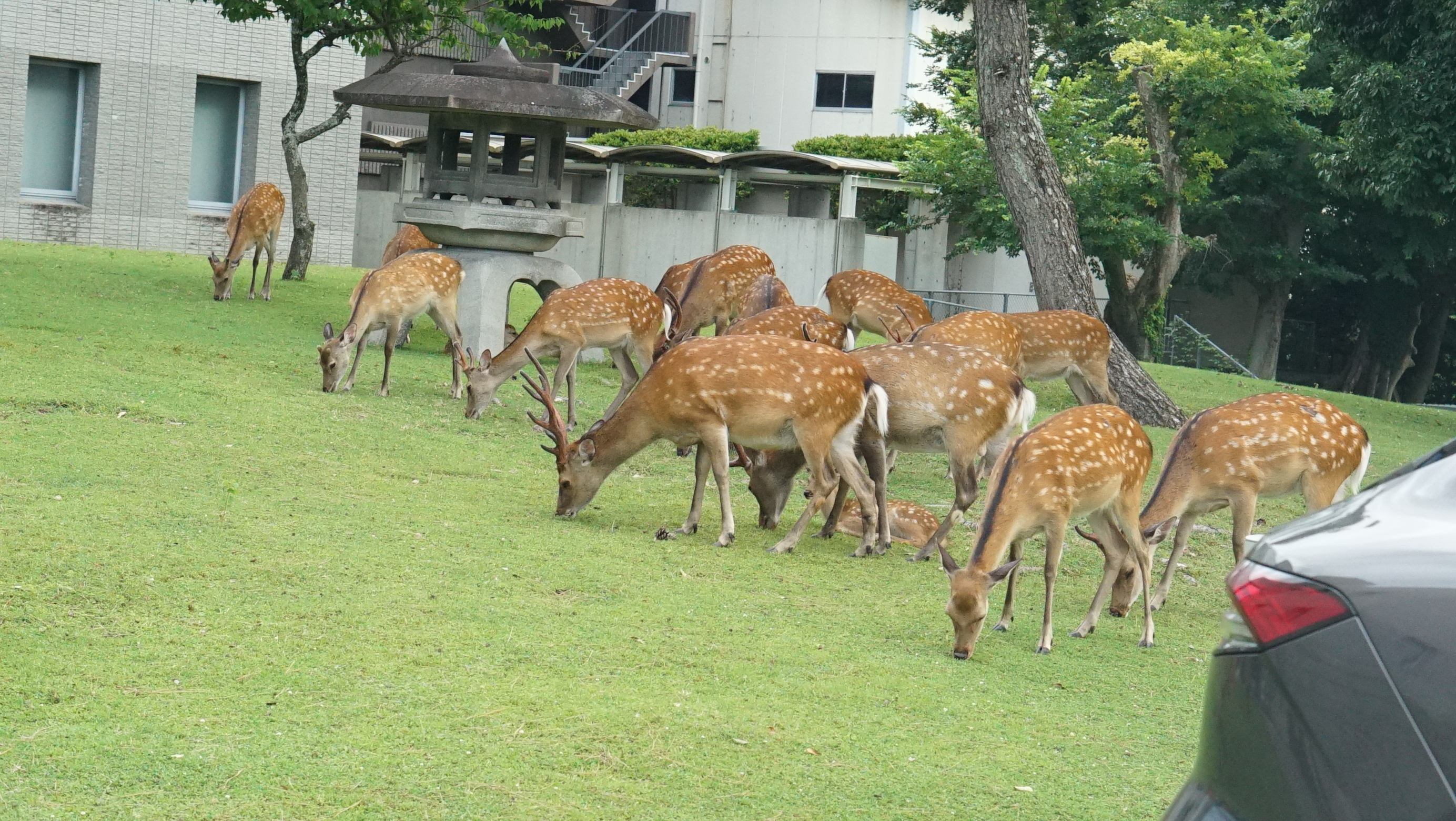 奈良地方裁判所　中庭